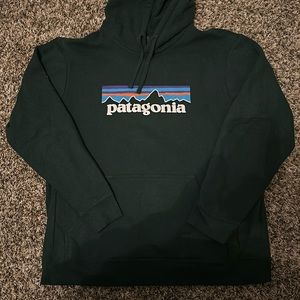 Patagonia hoodie